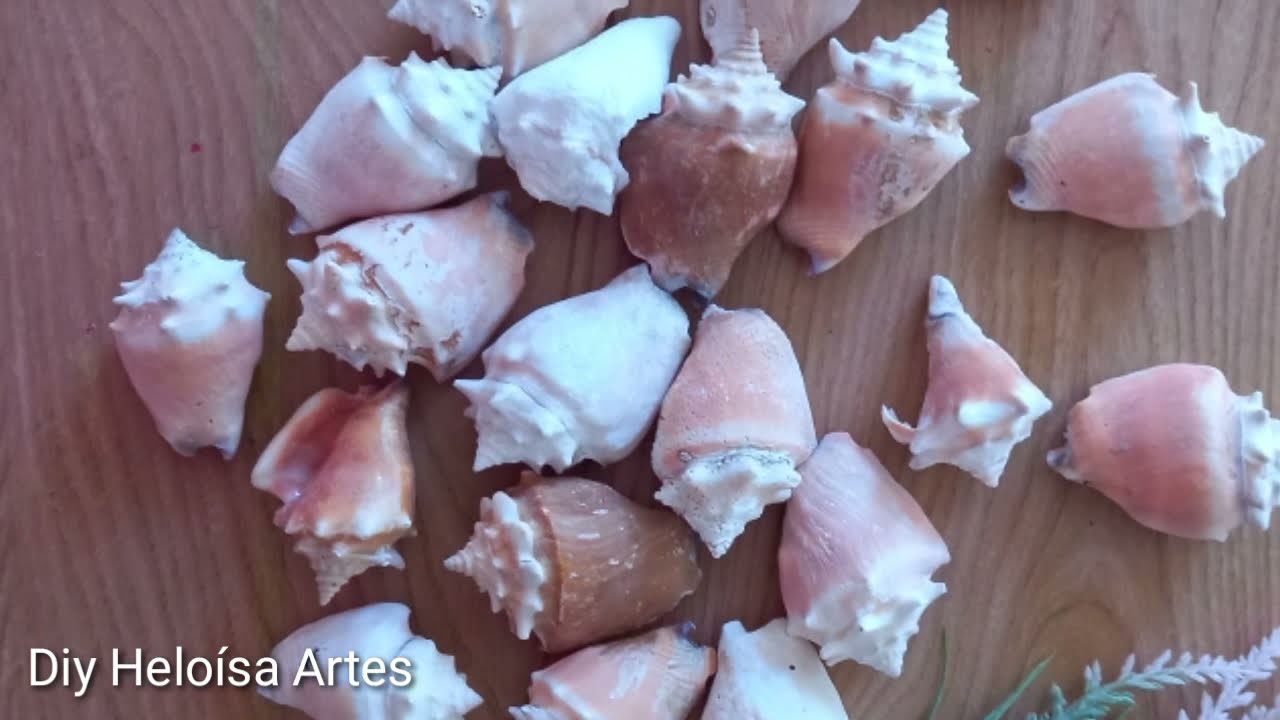 Ideias incríveis usando Conchas || Artesanato e Decoração