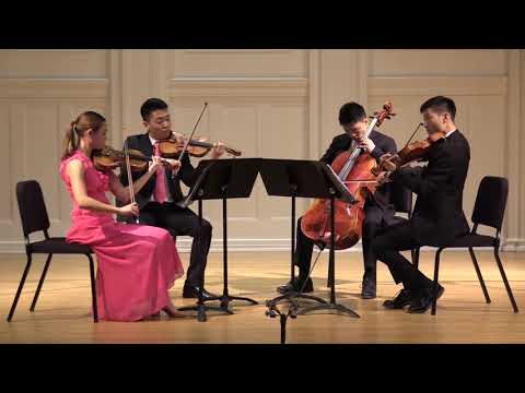 Verdi String Quartet In E Minor Allegro NOVA String Quartet 