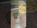 قسمت بالله ياسيد انا كمان نفسي اخس اكسبلور  اكلتك