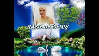 Ayşen Bi̇rgör & Nasip Değilmiş