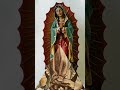 Devocion Virgen de Guadalupe#shorts#guadalupe#2023#13