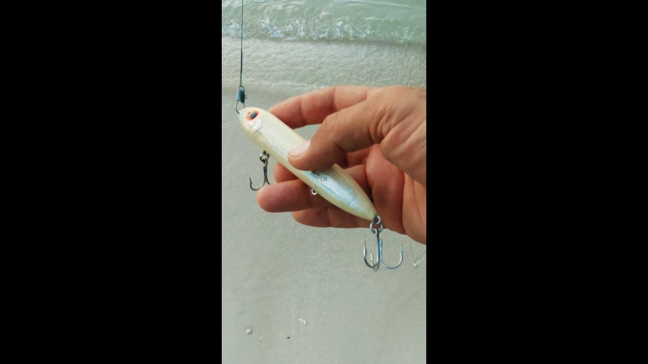 Pescando con señuelo de superficie (heddon super spook) 