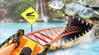 this CROCODILE roller coaster will give you nightmares..