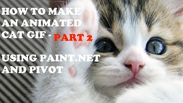 How To Make An Animated Gif - Part 2 (Using Paint.net and Pi