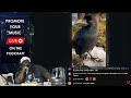 Crows - New Music Sneak Peek & Updates - Killah Priest LIVE Podcraft