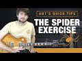 The Best Guitar Finger Exercise You Need | The Spider Exercise Guitar Tutorial