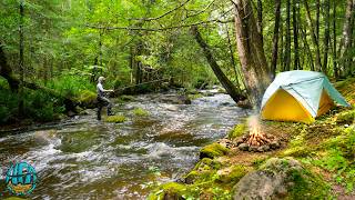 Camping and Fishing Wisconsin for 4 Days! (Small Creeks and Big Trout)