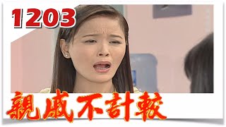 親戚不計較 EP1203