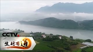 《生财有道》 夏日经济系列：走进浙江建德| 20180730 | CCTV财经