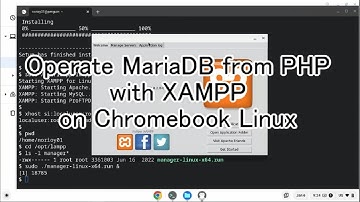 Operate MariaDB from PHP with XAMPP on Chromebook Linux