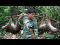Everyday life in the wilderness, wild boar footprints, traps, and unexpected things in the forest