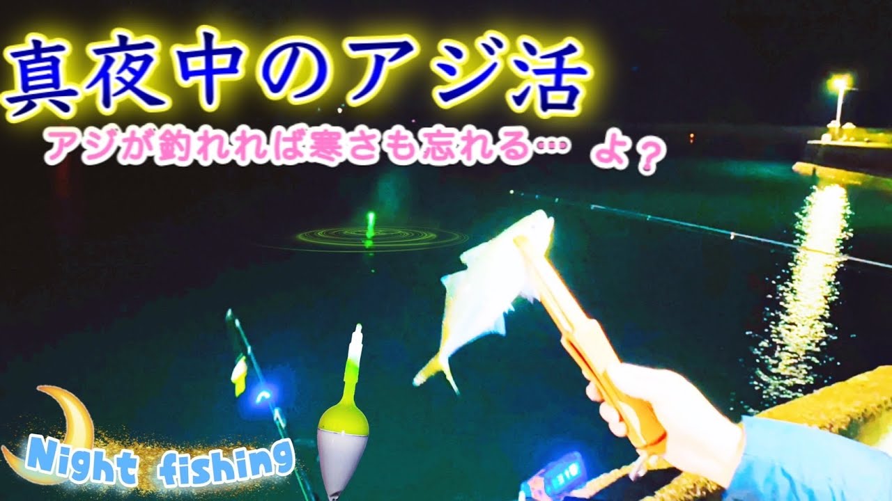 堤防投げサビキ 寒が緩んだ真冬の夜に白銀キラキラなサビキ仕掛けと多色水中ライトでアジを狙う Night Sabiki Fishing Using Real Appealing Rig Youtube