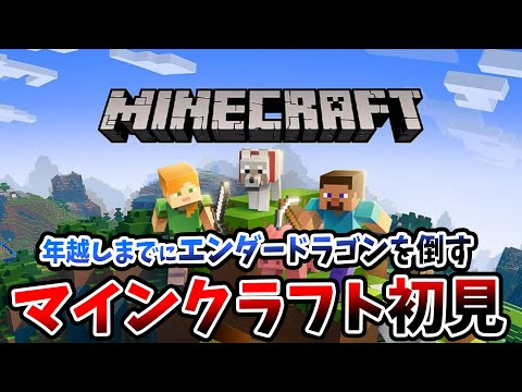 【ネタバレ歓迎】初見マイクラで年越すまでにエンダードラゴンを倒せ　最終回【PS4/PS5/XSX/Switch/Minecraft】