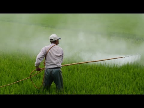 Agromedia anketa: Da