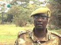 The Savage Snakes Of Mwingi Part 2 