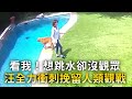 看我！想跳水卻沒觀眾　汪全力衝刺挽留人類觀戰