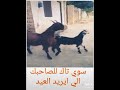 انتو وين طلعتو بال عيد