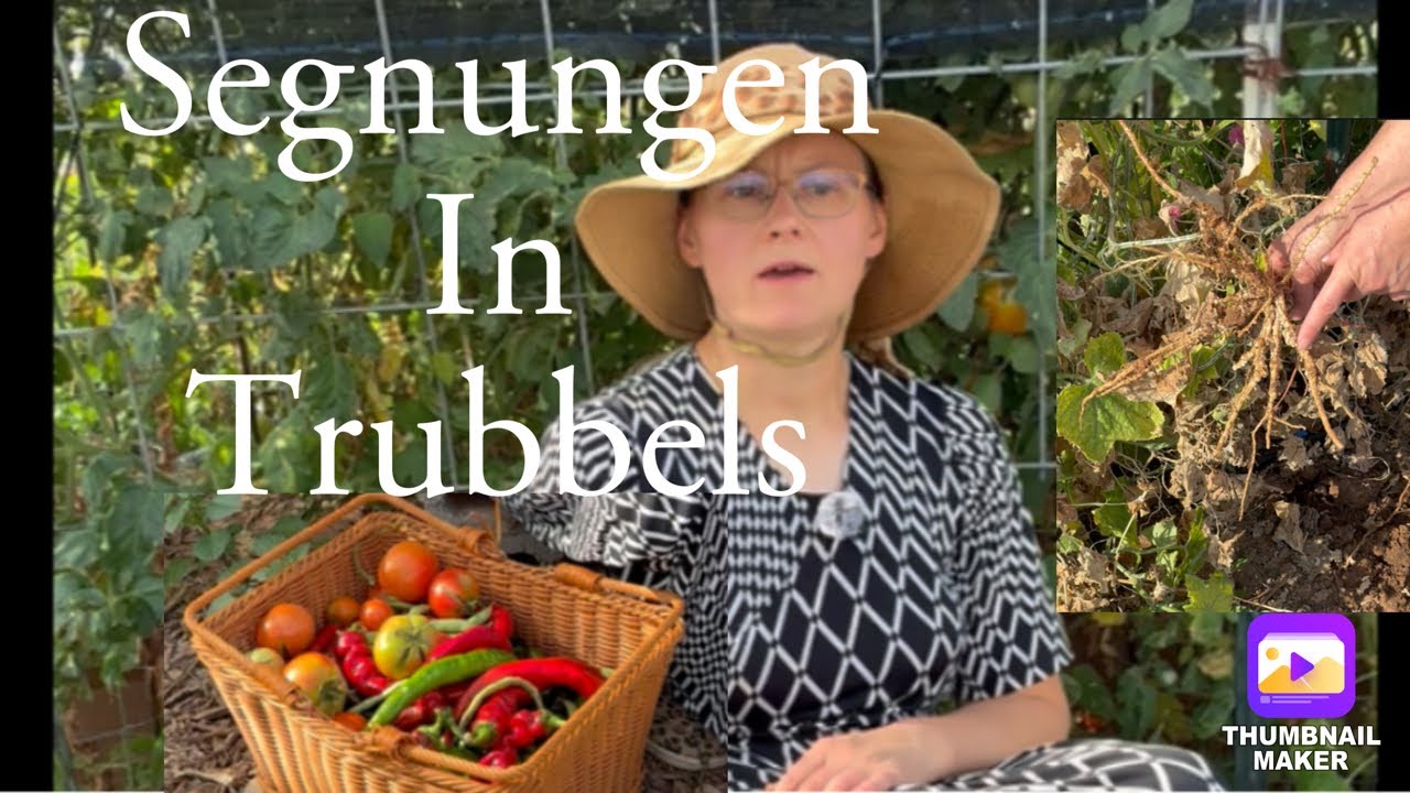 Im Goaden geft dat trubbels uba uck antwoaten duato #plautdietsch 