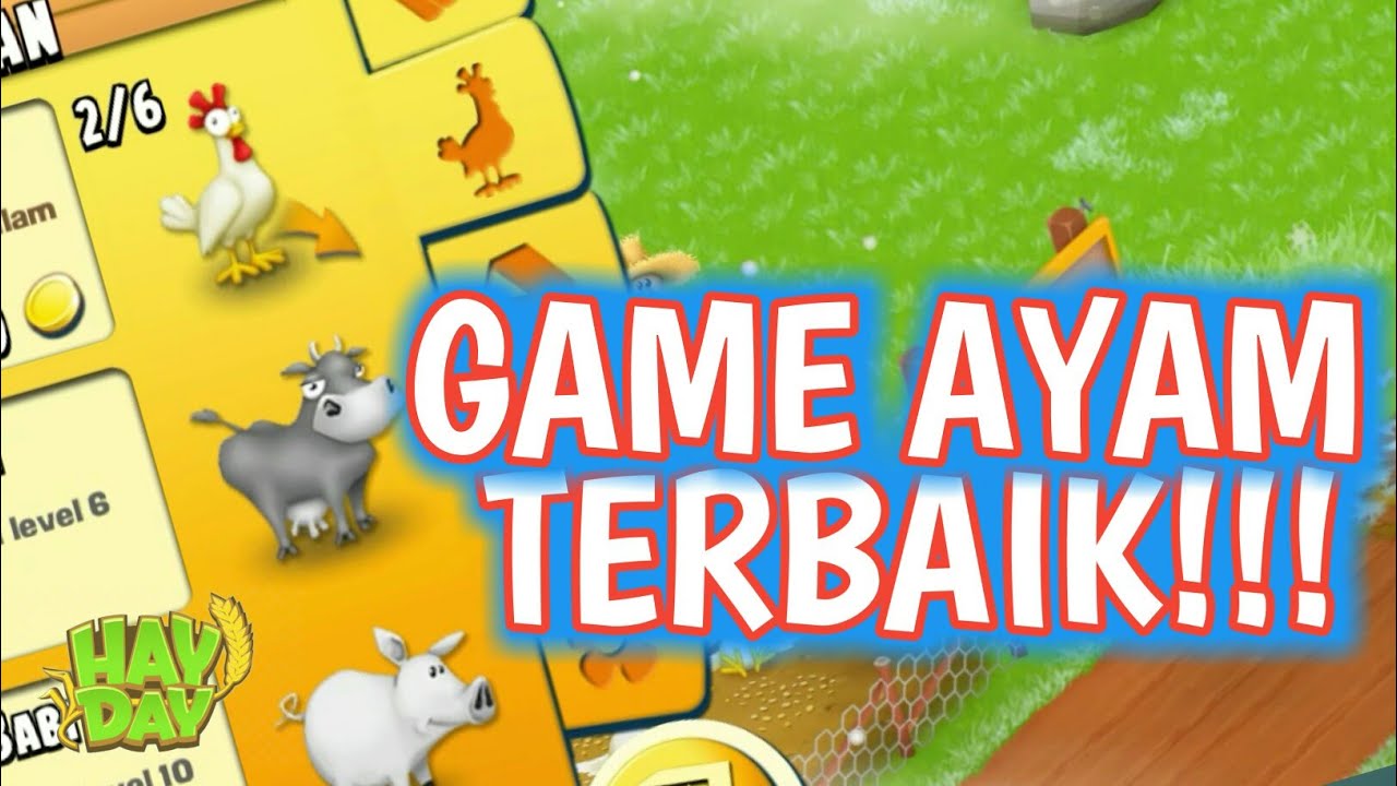 KAYA COC INI DIA GAME AYAM TERBAIK !!! HayDay Indonesia 01 YouTube