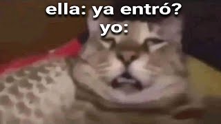 Shitposting Compilation V10