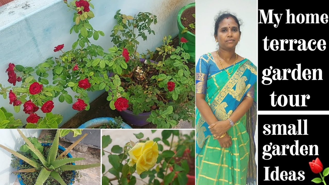 Terrace garden Terrace garden ideas terrace garden in tamil YouTube