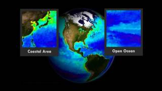 The Dead Zone: a story of seasonal hypoxia near the outflows of the Mississippi River