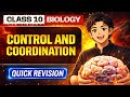Control and Coordination | Class 10 Science Quick Revision | Hindi + English | 8 Minutes