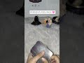 PERSON FEELINGS 🩷 #tarot #trendingshorts #trending #channeledmessages