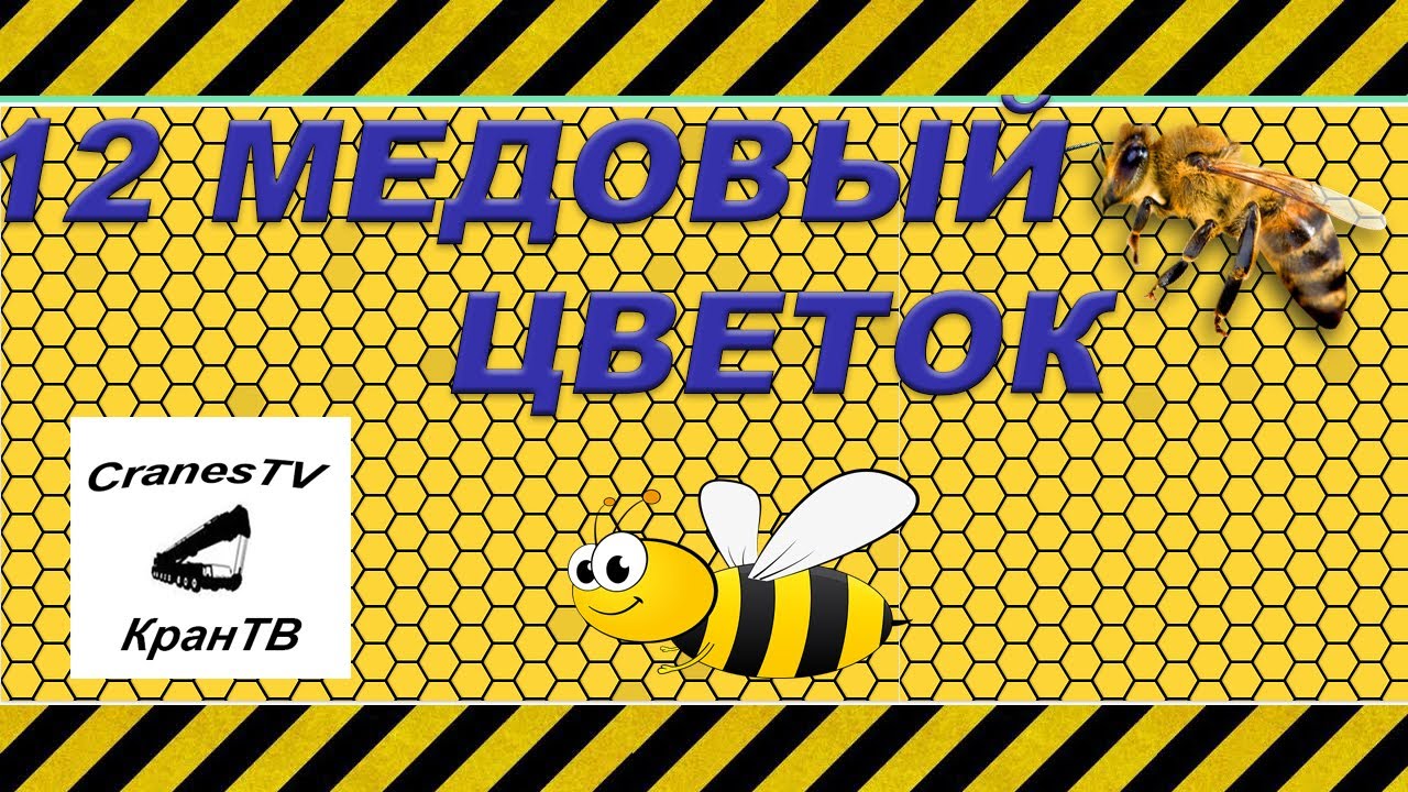 Гудков пчела. Я завелась пчела. Гудков пчела завелась. Я завелась Гудков пчела