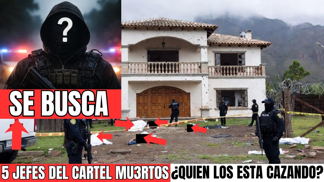 5 COMANDANTES DE UN CARTEL... DESAPARECIERON EN 9 SEMANAS... NADIE SABE QUIÉN LOS ESTÁ CAZANDO...