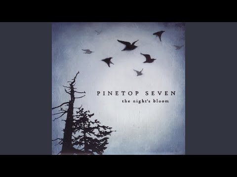 Pinetop Seven — A Page From The Desert