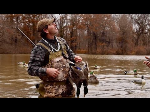 Hunting Ducks in the Timber at Habitat Flats