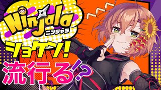 【ニンジャラ】忍者見習いです。ヨロ卍【本間ひまわり/にじさんじ】
