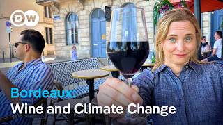 Bordeaux: How Climate Change Is Threatening a Famous Wine Region screenshot 3