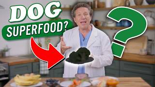 Top 10 'Human' Foods That Your Dog SHOULD Eat Too!