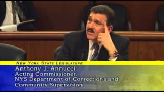 Joint Legislative Budget Hearing on Public Protection -02/26/15