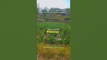 قرآن كريم #بصوت ياسر الدوسري #ارح قلبك ♡#سوره يس #انشر تؤجر