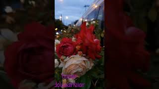 Yaram Ne Kadar Ne Kabuk Bağlar..