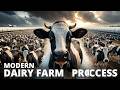 The Complete Modern Milk Production | Calf to Carton | RAW Industry