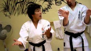 Uechi Technique Peggy Teaching
