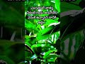 మాటలు పట్టించుకోకు💯 #goodmorning #shorts #motivation #faith #trending #telugu #ownvoice #viral #100k