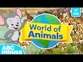 Explore the Animal World | 47-Minute Kids' Episode 🐾