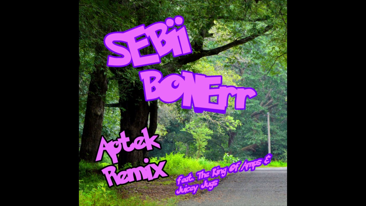 SEBii - BONErr (Aptek Remix) (ft. The King Of Amps & Juicy Jugs)