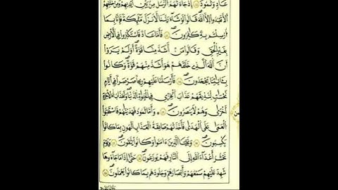 من الآية(١٦_١٩)من سورة فصلت