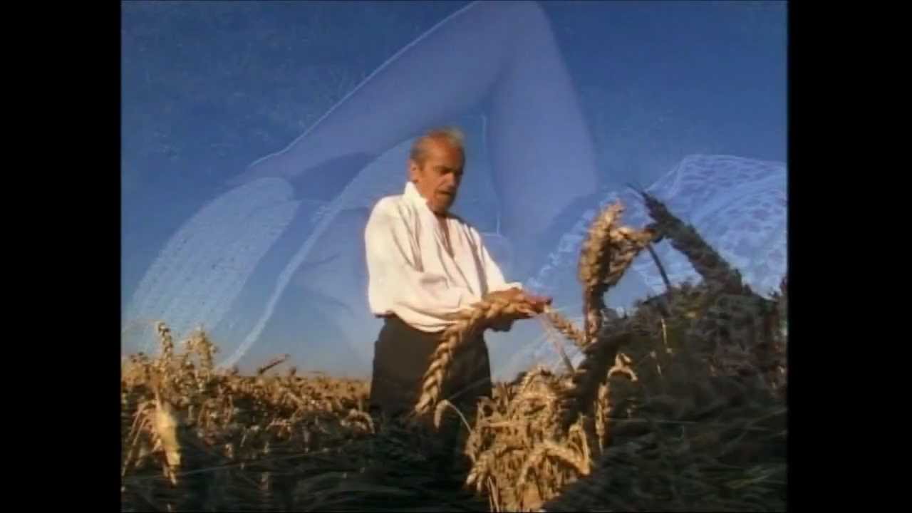Youtube La Chanson Des Blés D Or La chanson des blés d'or - YouTube