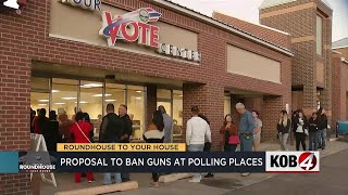 Proposal to ban guns from polling places passes first House committee