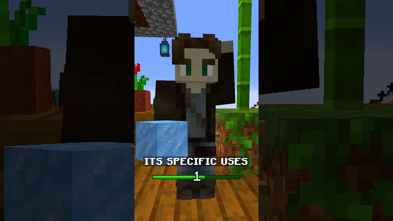 uses for packed ice in 