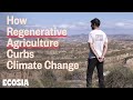 How Regenerative Agriculture curbs climate change