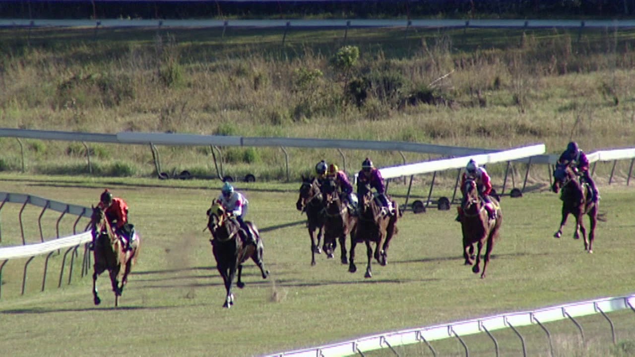 Barrier Trials Rockhampton 29 June 2020 No2 YouTube