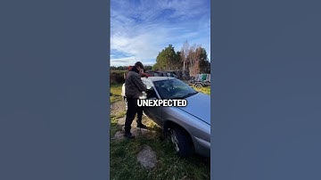 He Will Never Trust It Again (@pienilato)